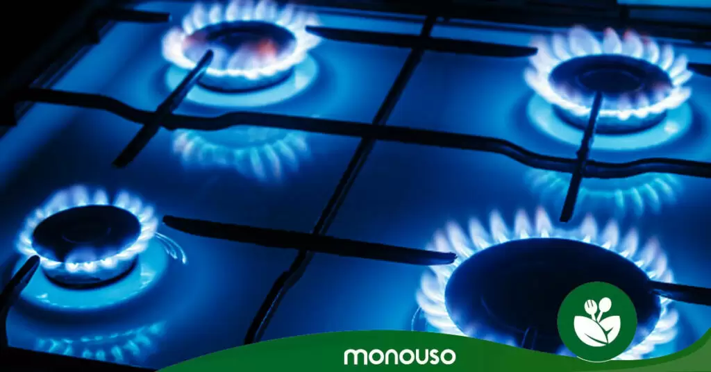 Gas propano ¿Qué es y cuánto necesito?