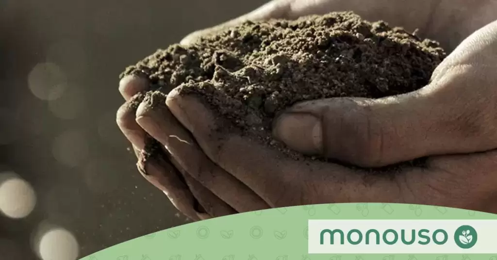 qué es compostable
